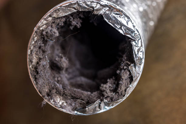 Best Affordable Duct Cleaning Services  in Elmhurst, IL